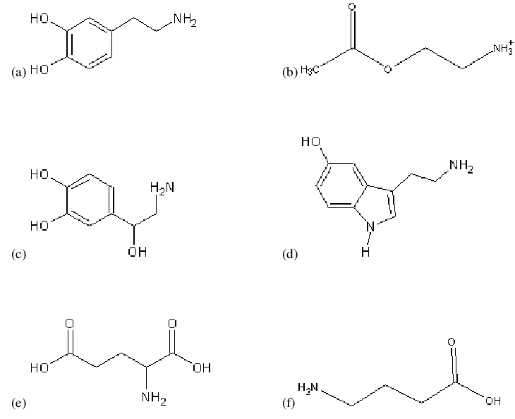 Building blocks of attention: (a) Acetylcholine, (b) Dopamine, © Norepinephrine, (d) Serotonin, (e) Glutamic Acid, (f) Aminobutyric Acid